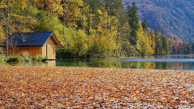 Mobilný dom obložený drevom na brehu jazera v jeseni.jpg